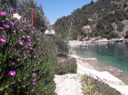 Apartmani villa rosa Vela Luka (Otok Korčula)