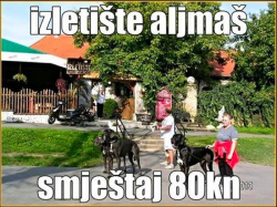 Appartamenti Guesthouse Zeko Aljmaš Aljmas