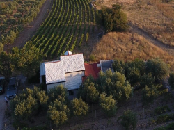 Casa vacanza Ana Bol (Isola Brac)